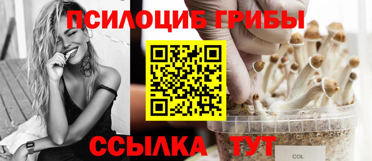 Псилоцибиновые грибы прущие грибы Новочеркасск